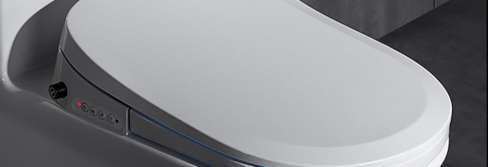 WC douche sans frais d'artisanat élevés